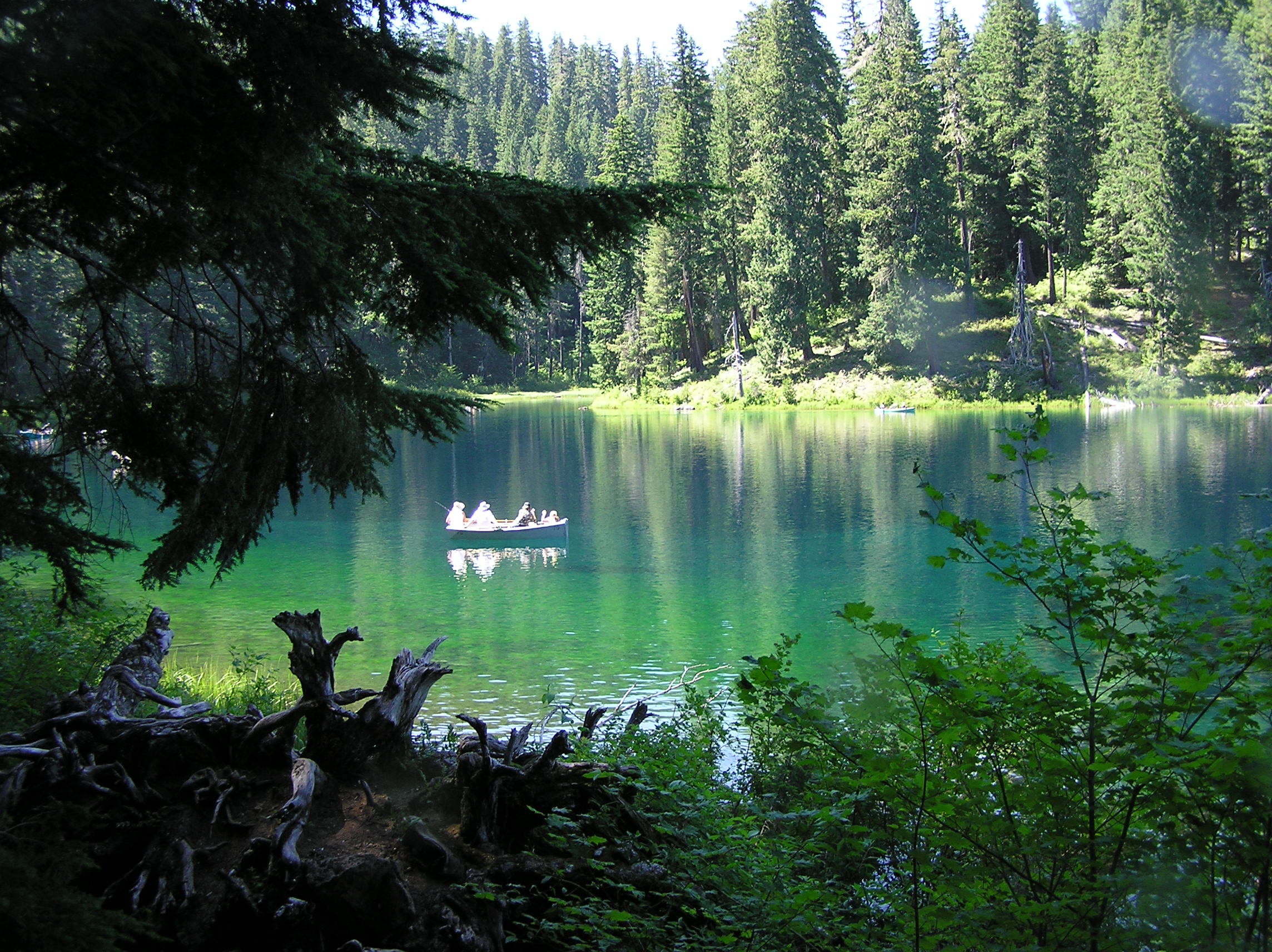 Clear Lake – Pool North of Lodge Boat Ramp – Oregon Dive Sites