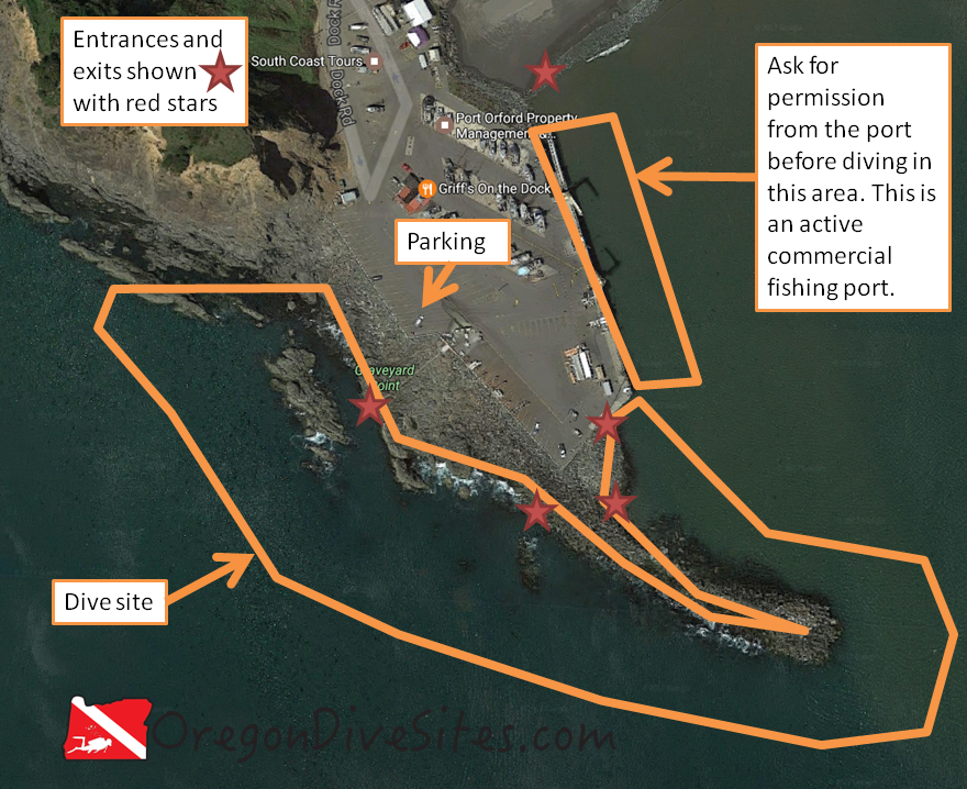 Port Orford Jetty and Graveyard Point – Oregon Dive Sites